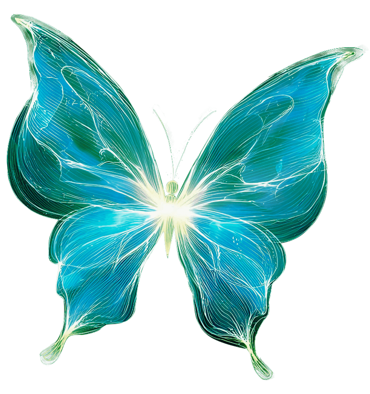 ALEKSIR – Butterfly