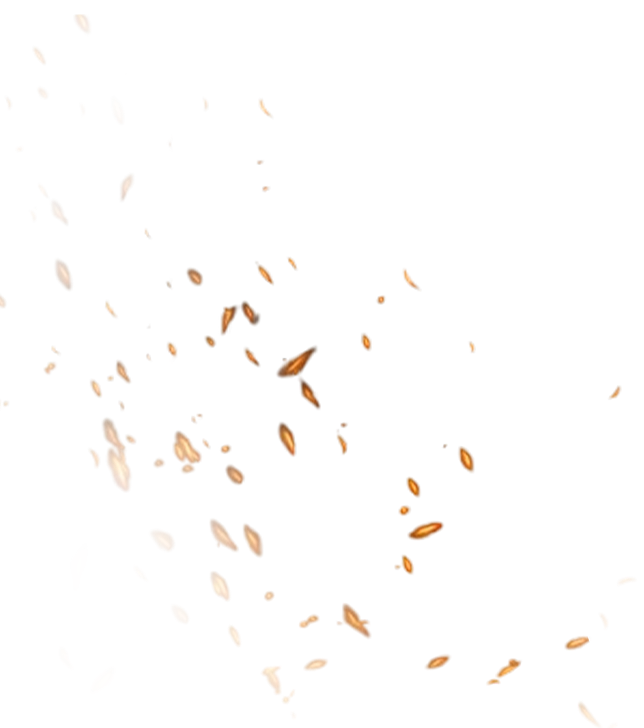 Fire particles