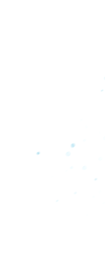 Snow particles